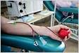 Quais são as indicações para transfusão de sangue